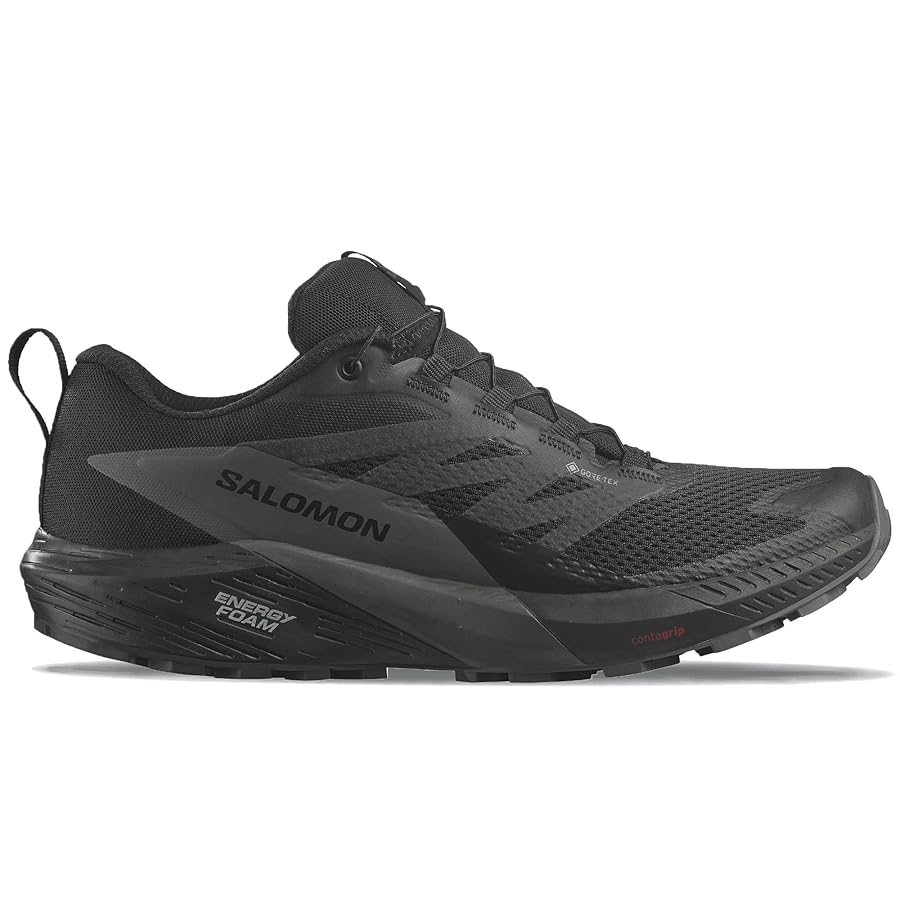 Amazon | [サロモン] ランニングシューズ センス ライド 5 GTX